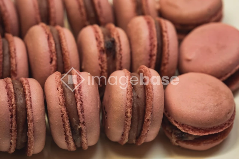 Delicious Macarons