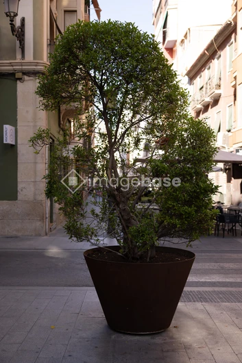 Urban Planter