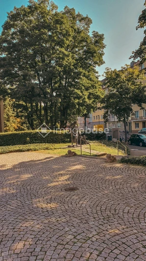 Peaceful Urban Park Scene