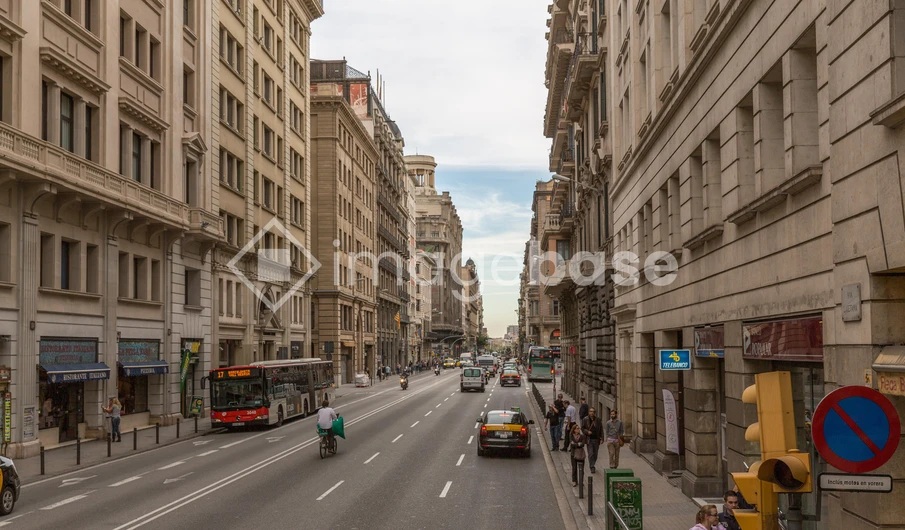 City Street View