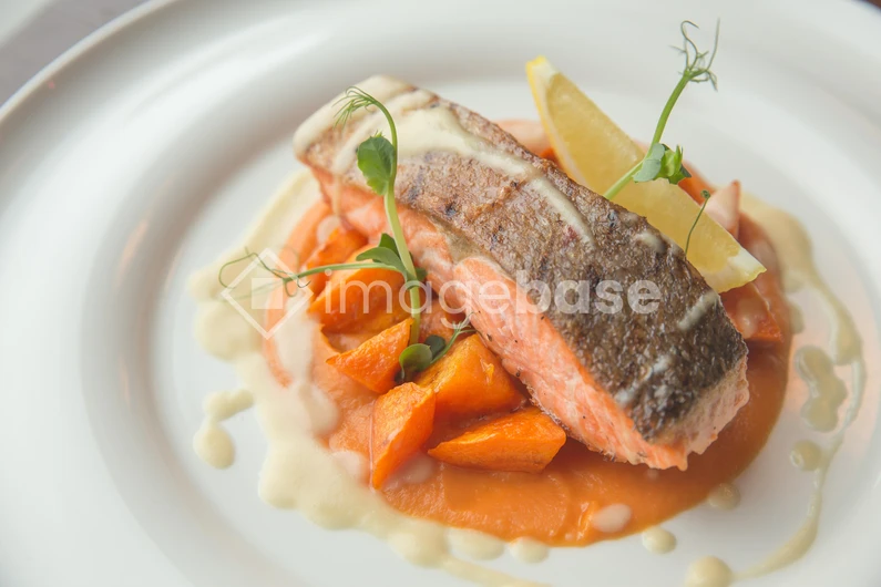 Gourmet Salmon Dish