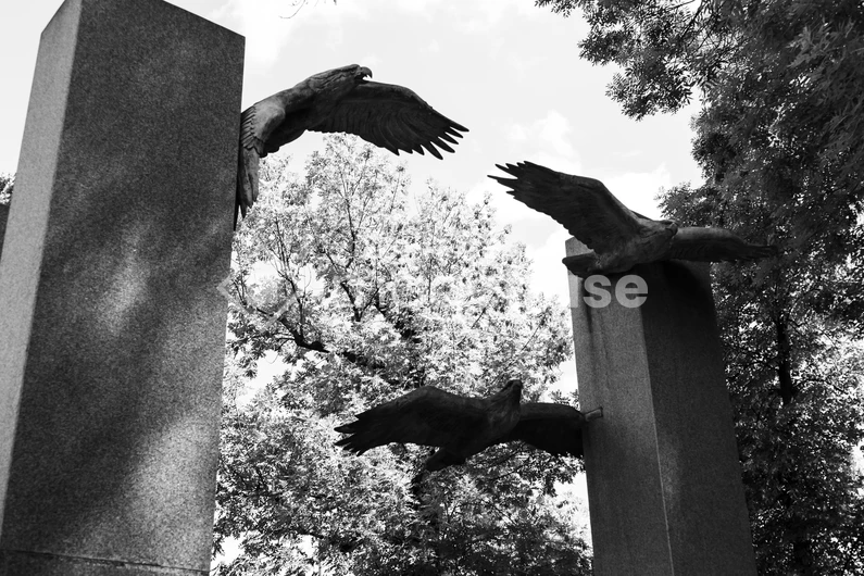 Sculptures in Flight