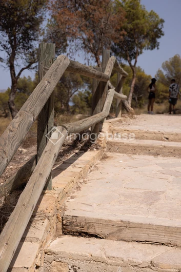Rustic Pathway in Nature