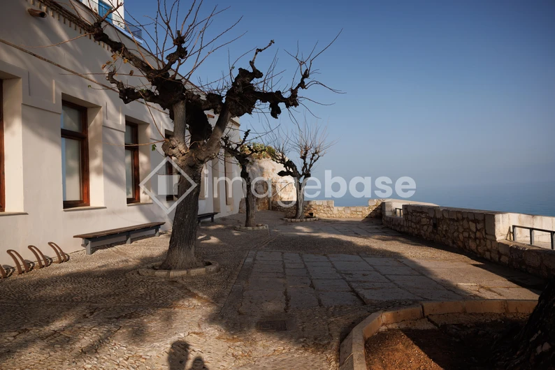 Serene Coastal Courtyard