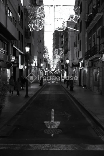 Festive Street at Night