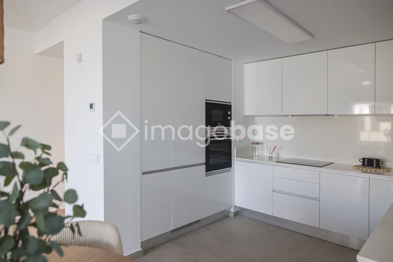 Modern White Kitchen Interior