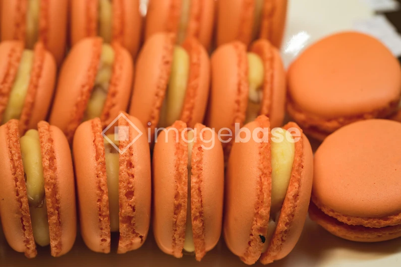 Delicious Macarons