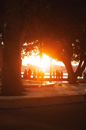 Sunset Walk by the Bay