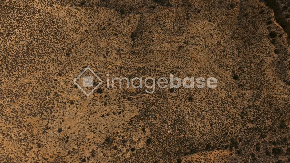Desert Terrain