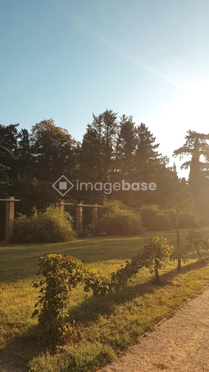 Sunny Garden Pathway
