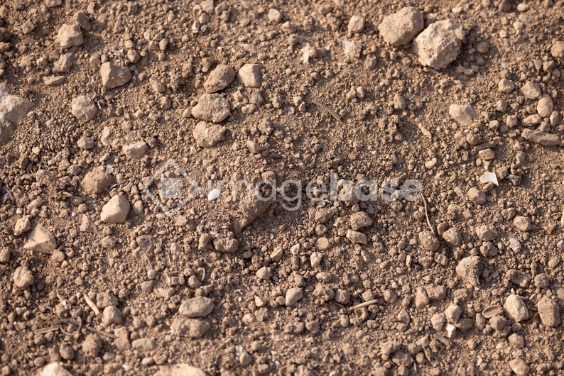 Rugged Terrain