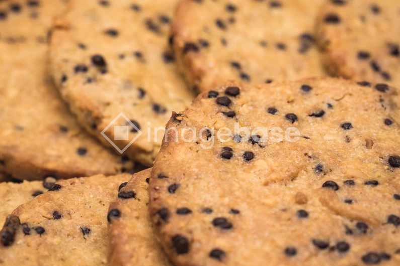 Close-up of Chocolate Chip Cookies