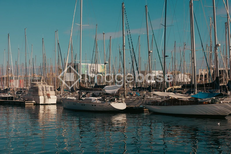 Marina with Yachts