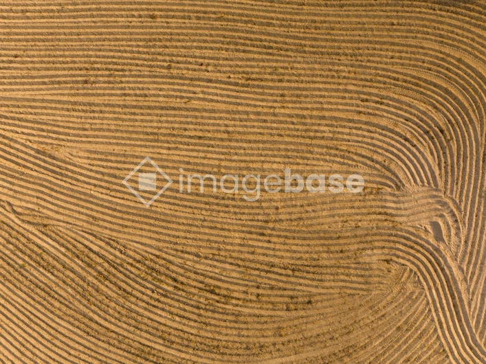 Aerial View of Plowed Field Patterns