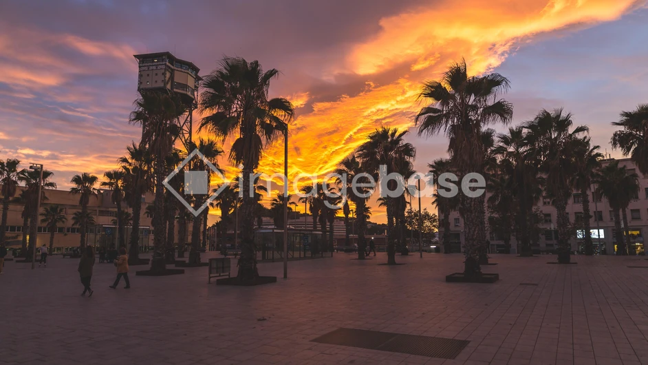 Sunset over Palm Plaza