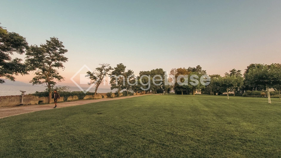 Sunset Park Landscape