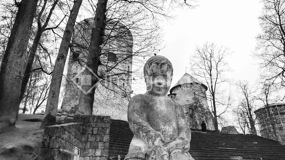 Historic Castle and Statue