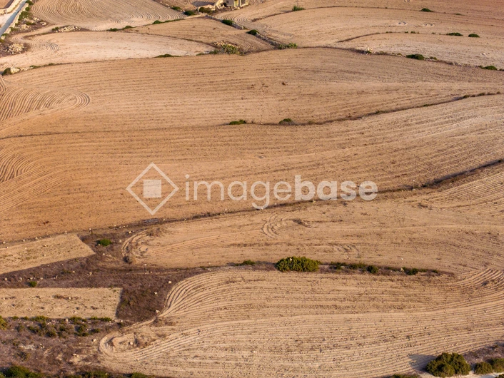 Aerial View of Plowed Fields