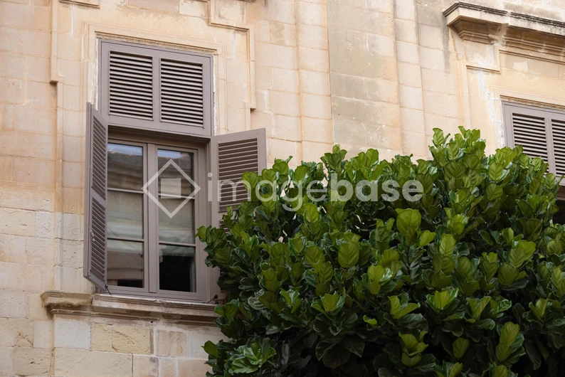 Rustic Window and Greenery