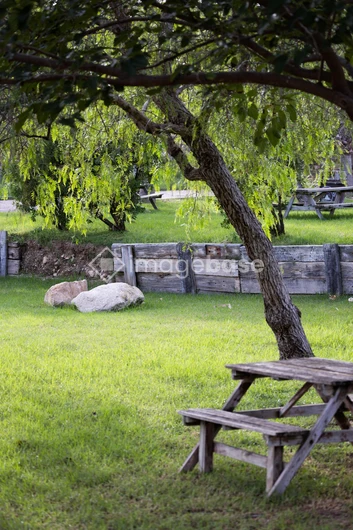 Tranquil Park Scene