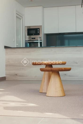 Modern Kitchen Interior