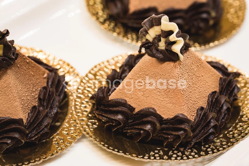 Elegant Chocolate Dessert