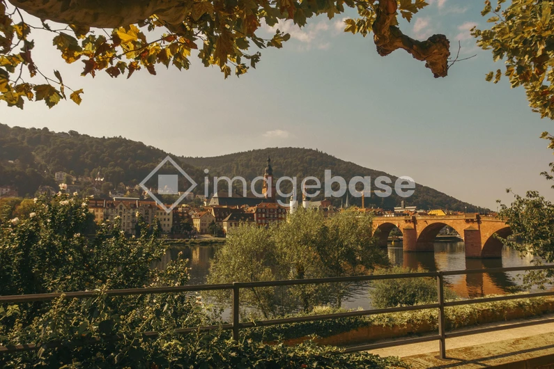 Historic Riverside Vista