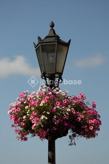 Floral Street Lamp
