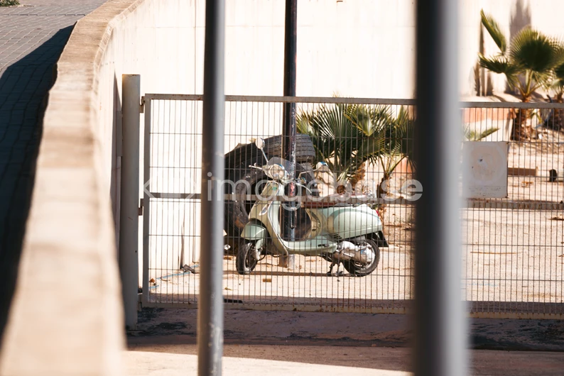 Vespa by the Fence