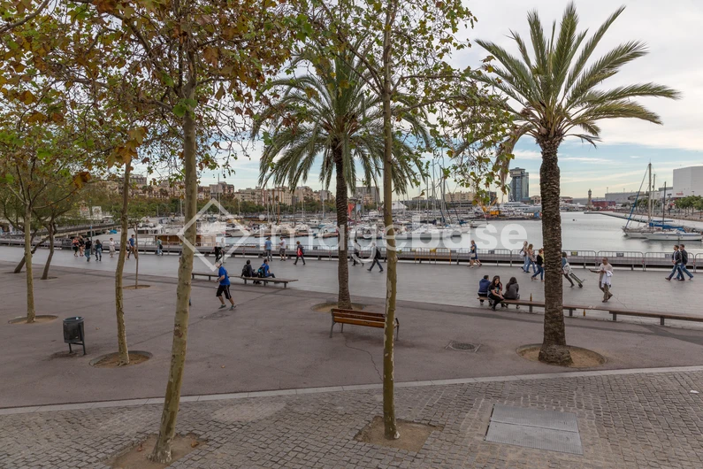 Scenic Waterfront Promenade