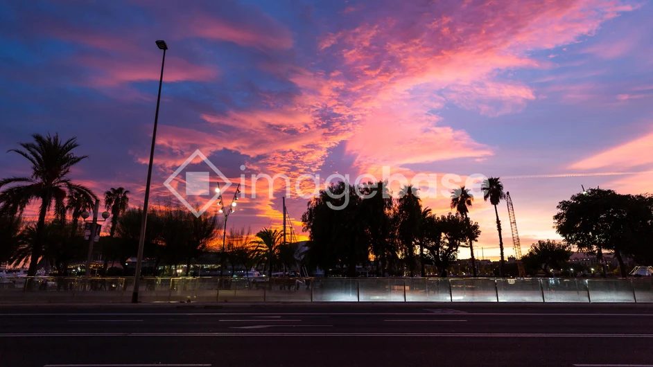 Vibrant Sunset Over Palm Trees