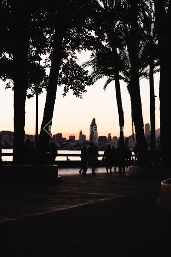 Sunset Cityscape with Silhouettes