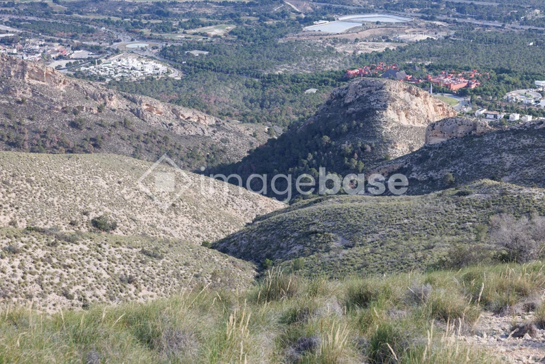 Scenic Hillside Vista