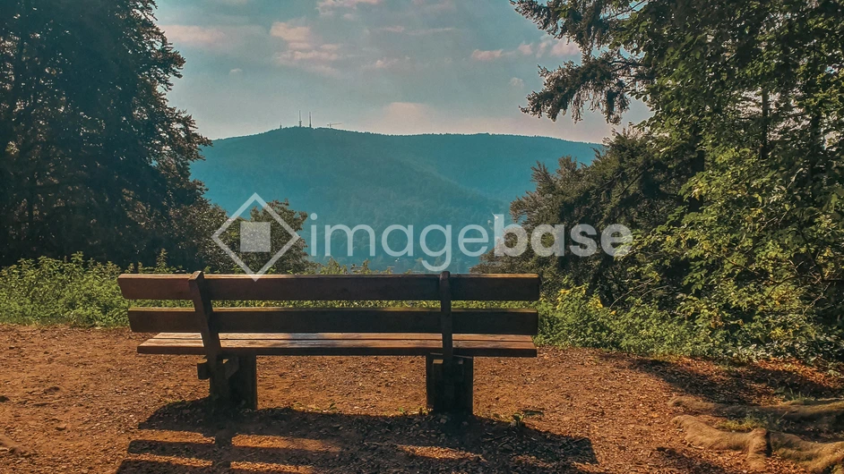 Serene Bench View