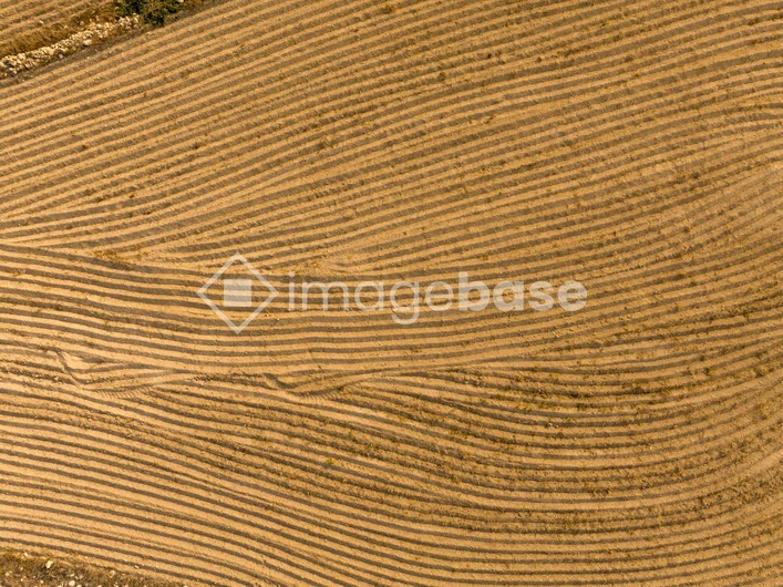 Aerial View of Plowed Field