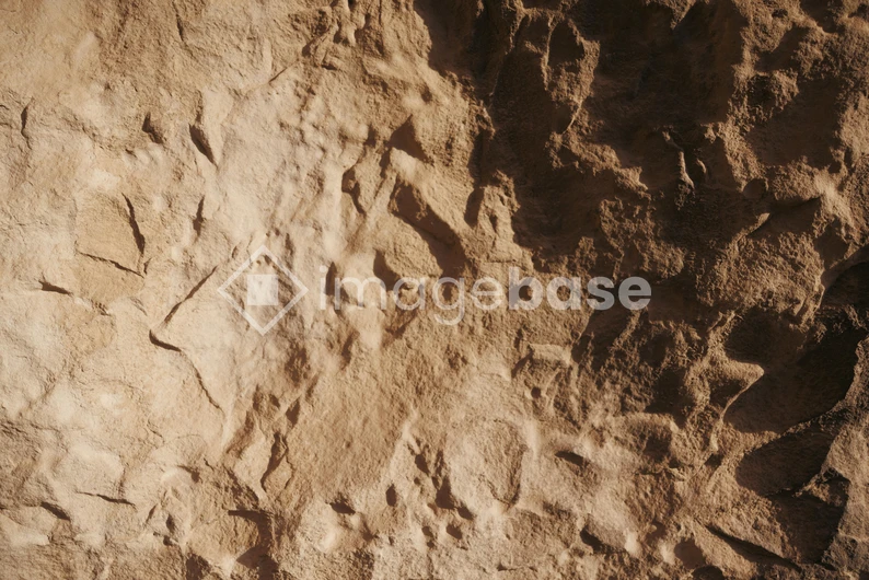 Textured Rock Surface