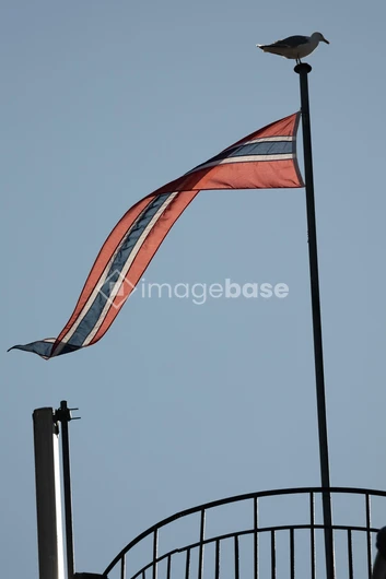 Seagull on a Flagpole