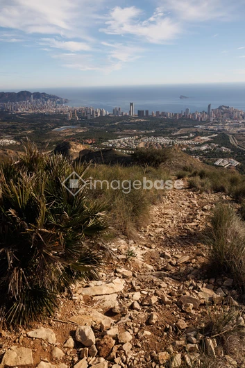 Coastal City View