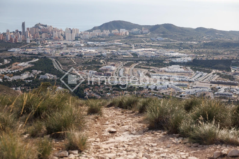 Cityscape from a Hill