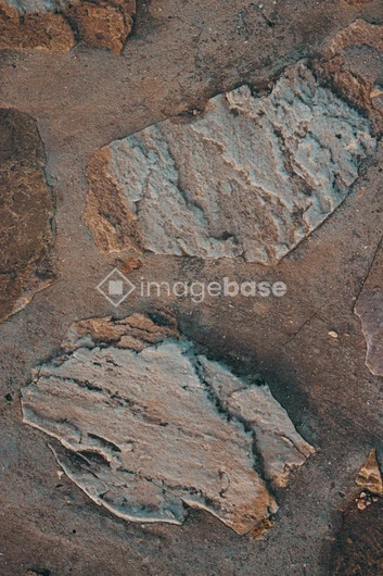 Stone Texture