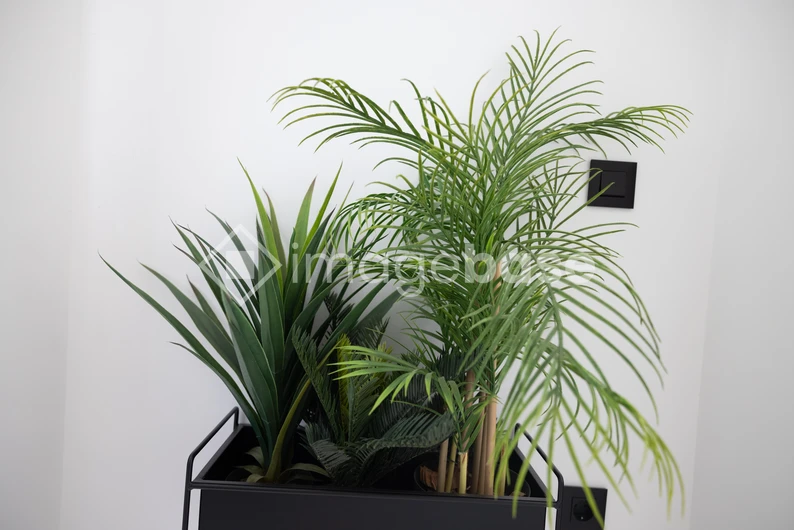 Indoor Greenery Arrangement