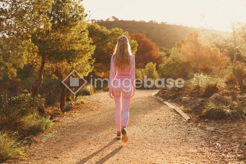 Sunlit Stroll