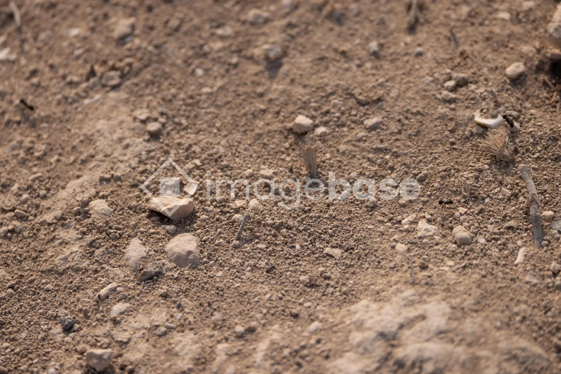 Earthy Texture