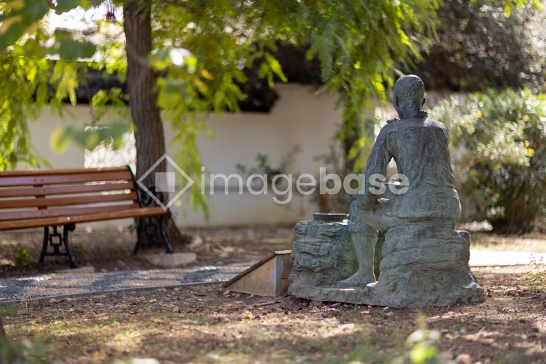 Serene Garden Scene
