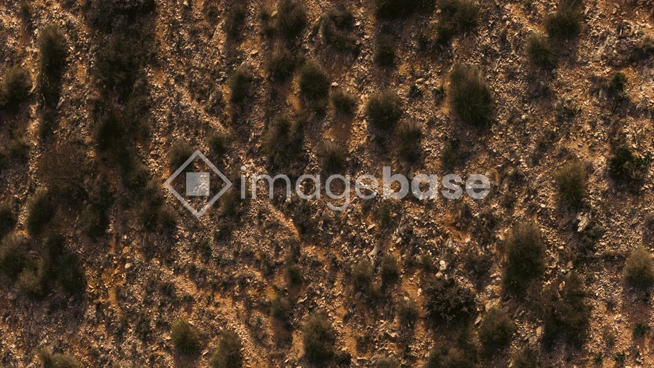 Rugged Terrain Texture