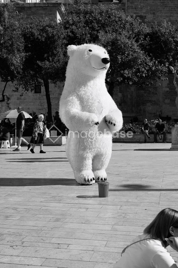 Street Performer in Bear Costume