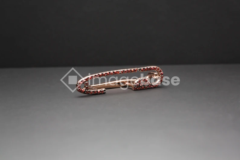 Elegant Jewelry Pin