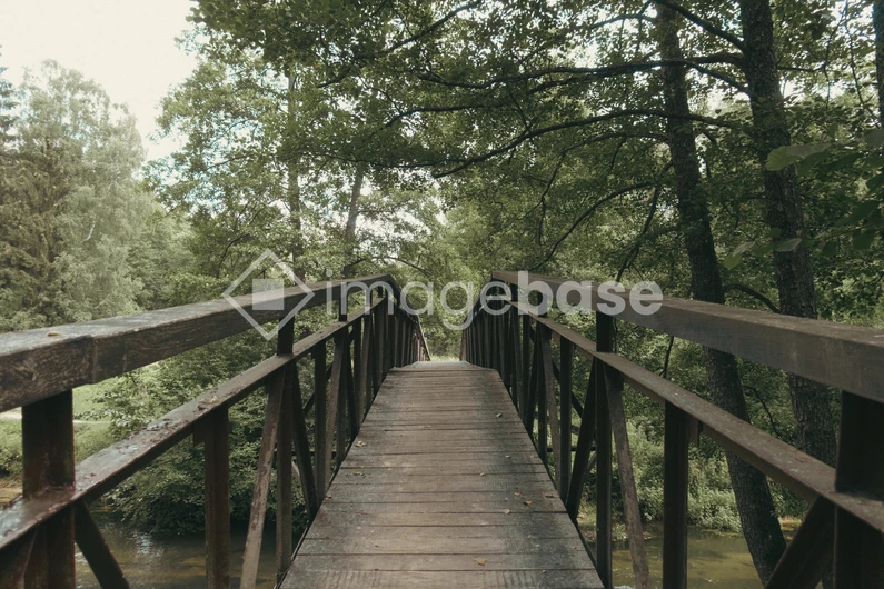 Serene Forest Bridge