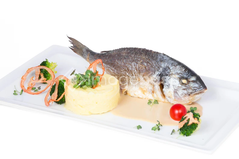 Gourmet Fish Dish