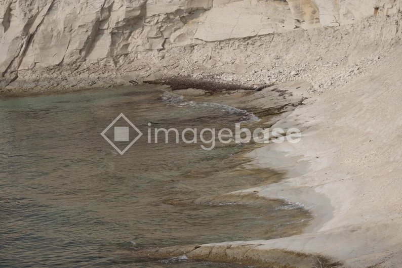 Rocky Coastline